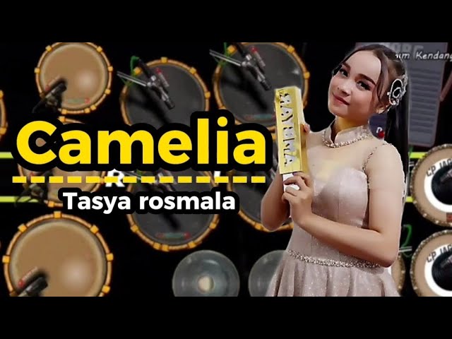 CAMELIA ||TASYA ROSMALA - Real kendang class=