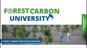 Forest Carbon University: From the Basics to a Deep Dive on the Carbon Markets