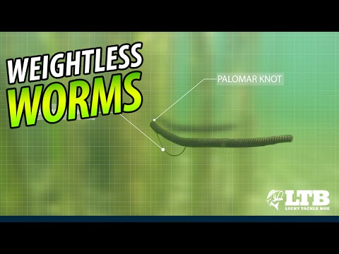 How To Fish A Worm: Lucky Tackle Box Tips