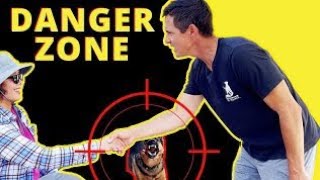 How to Fix a Dog's Aggressive Behavior Towards People - Intense & in-depth training session