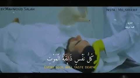 اجمل حالات واتس اب قران بصوت محمد شريف💜🌴حالات دينية تلاوة مؤثرة💙🥀كل نفس ذائقة الموت