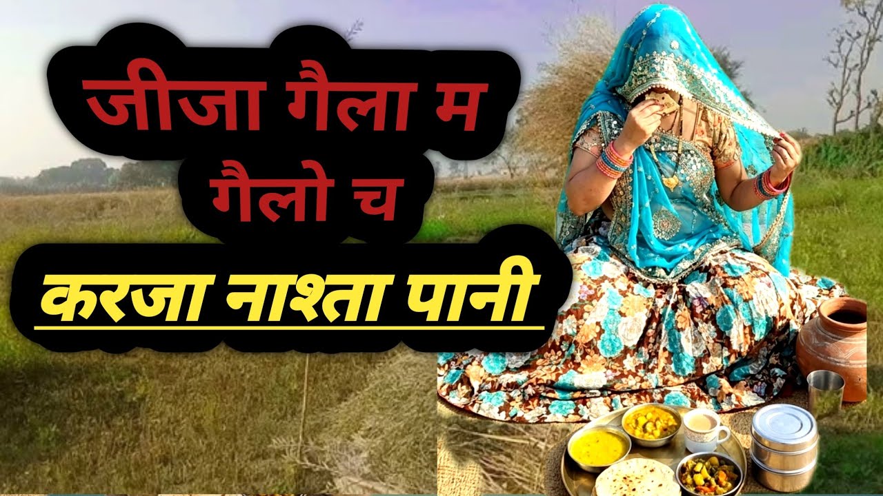 New_लेटेस्ट जबरदस्त song 2026|| जीजा गैला म गैलो च करजा नाश्ता पानी || Rp meena/meena dance video 