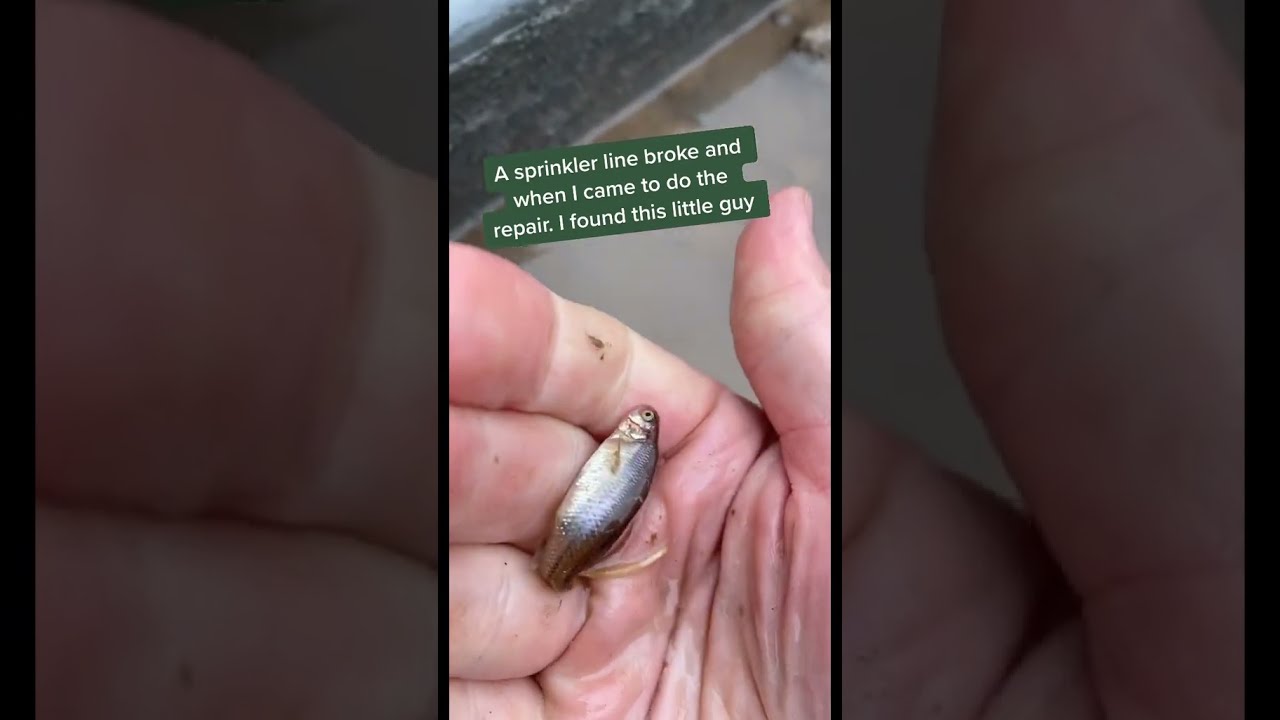 Cost-Effective Building Strategies for Your Dream Home - Project Construction 😎👍