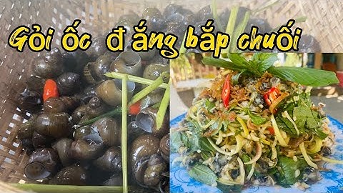 Mẹ ra vườn hái bắp chuối về trộn gỏi cùng ốc đắng lạ miệng cả nhà ai cũng thích ✅CƠM NHÀ MẸ NẤU T96
