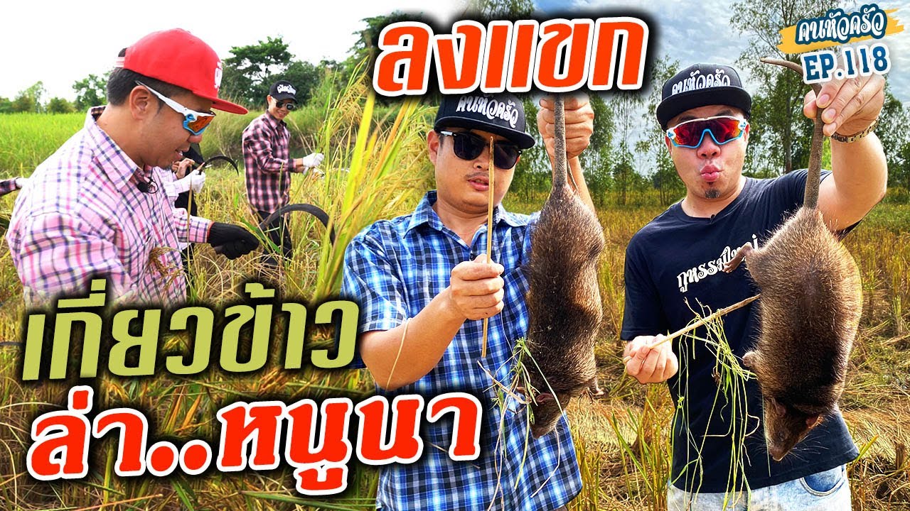ลงเเขกเกี่ยวข้าวครั้งแรก! ..ออกล่าหนูนา!!! [หัวครัวทัวร์ริ่ง] EP.118