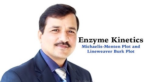 Enzyme Kinetics Part 3 - Michaelis-Menten and Lineweaver Burk Plot