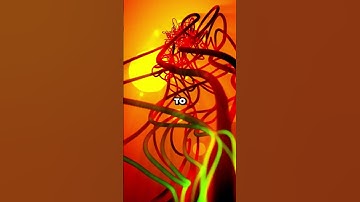 NEVER Buy an Extension Cord That Has This