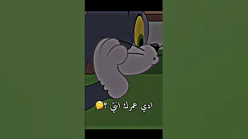 حالات واتس اب ستوريات انستغرام حالات حب 2023 للعشاق حالات مضحكة 