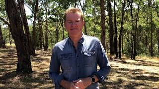 Healing prayer for pain conditions - John Mellor Miracles in Jesus' Name