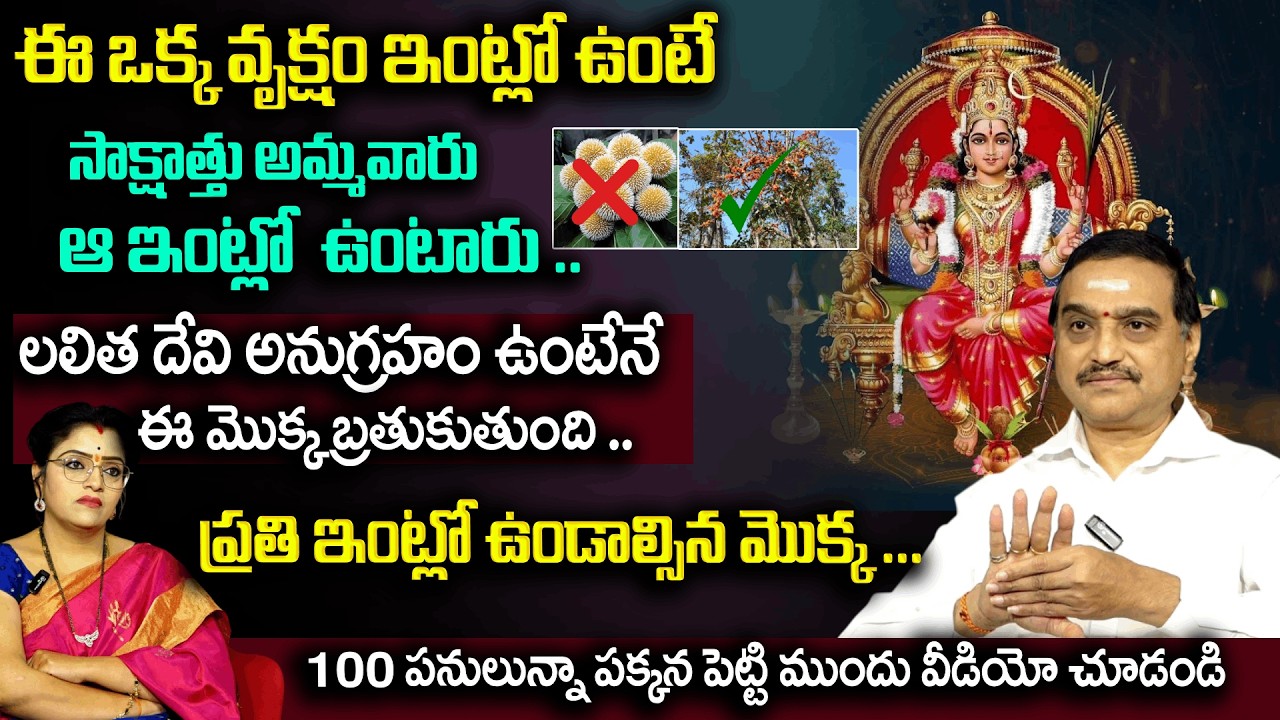ఈ ఒక్క వృక్షం ఇంట్లో ఉంటే సాక్షాత్తు అమ్మవారు ఆ ఇంట్లో  ఉంటారు .. | Lalitha Devi | Padmini