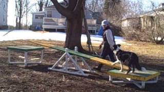 Hob Nob Leda: Teeter Training! Day 1, Session 1