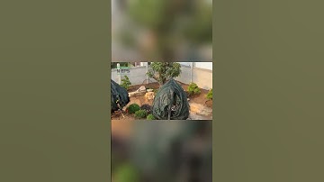 Hàng Rào Bê Tông Lắp Ghép Là Gì? Ứng Dụng Bê Tông Đúc Sẵn Làm Cột & Tường Rào Siêu Tiện Lợi