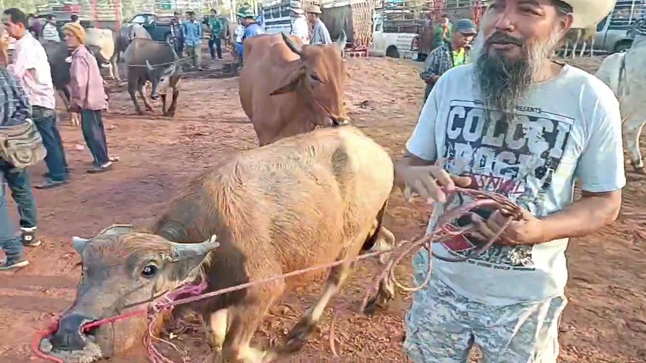 28กพ69 ตลาด อ.ภูเวียง จ.ขอนแก่น เวียตนามบอเข้า