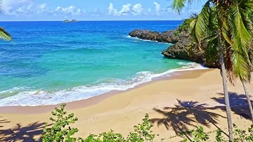 سورة الفيل..مكرره..٢١..مره... بصوت..محارب حميدة الشريف..وأثرها في إبطال السحر