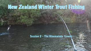 New Zealand Winter Trout Fishing - Session 2 - The Hinemaiaia (Lower) screenshot 4
