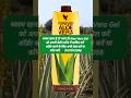 Andar se Clean, Bahar se Glow ✨ Natural Detox 🌿Daily Health ka Secret 💚Forever Aloe Vera Gel ✨#yt