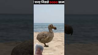 doodle isliye Bluetooth Ho Gaya ki vah pagal the#viral