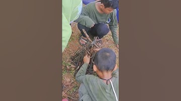 Membuat Api Unggun #apiunggun #camping #cinematic #shorts #sekolahalam #viral #video