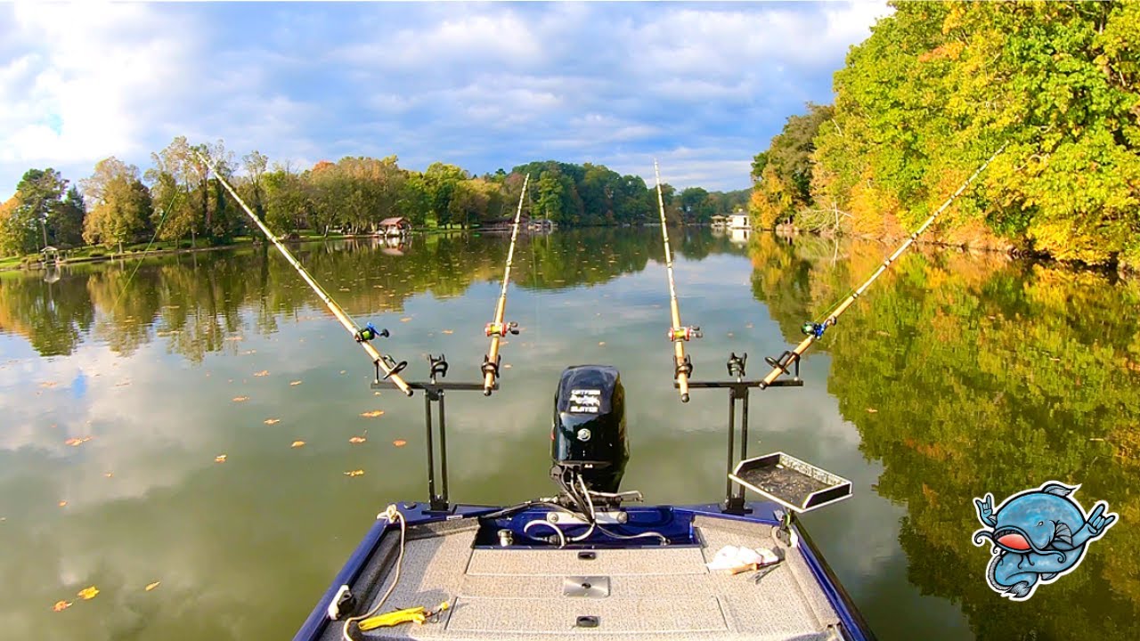 Creek Catfishing YouTube