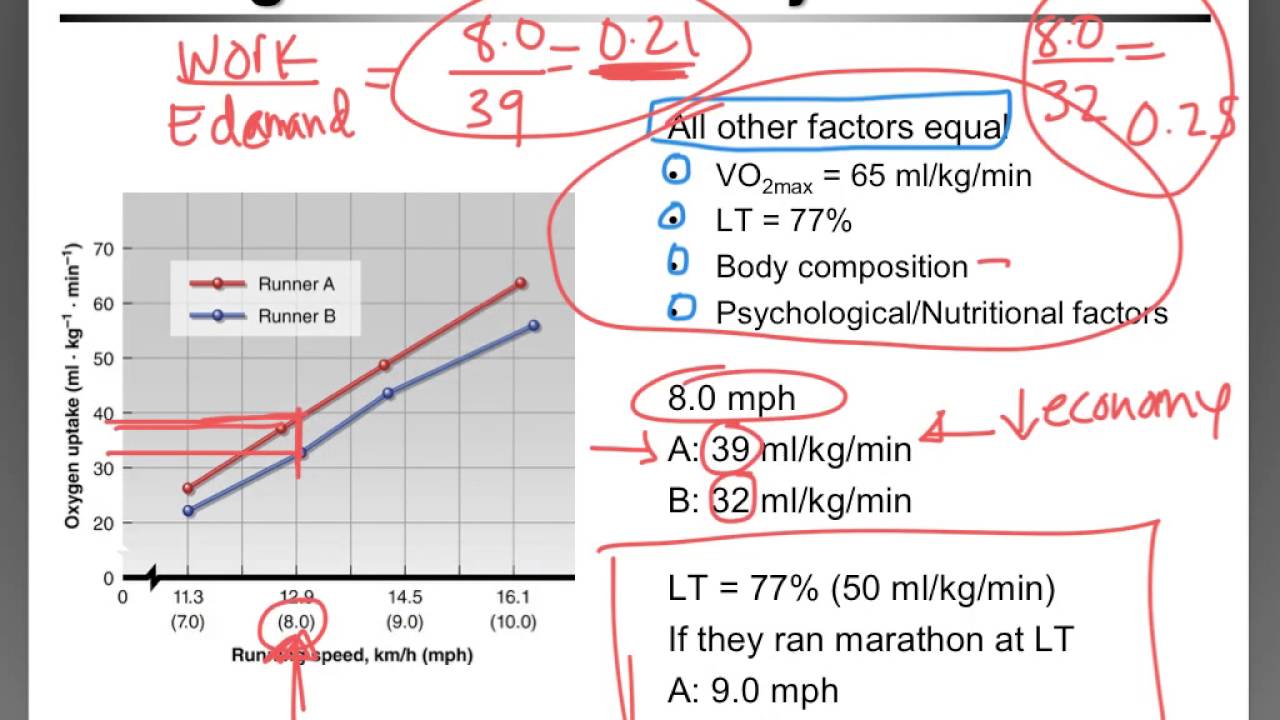 Ch. 5 Determinants of Performance