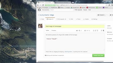 Git Tutorial   23   GitHub Issues and Labels