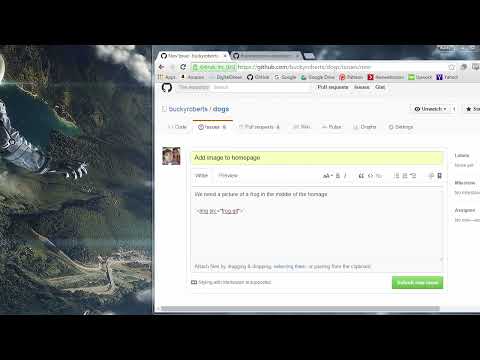 Git Tutorial   23   GitHub Issues and Labels
