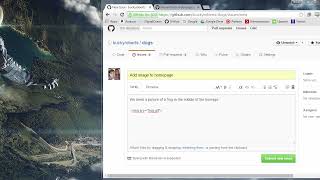 Git Tutorial   23   GitHub Issues and Labels Profile