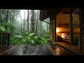 Fall Asleep Fast with Rain on Cabin Roof | Quiet Forest at Night | 3 Hours No Thunder