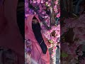 Wonderland amusement park😘 full video chao ki?