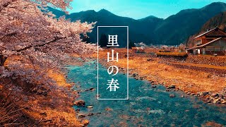 大屋川 と 大杉集落 と 樽見の大桜 Óya River Runs Through Óya Town , Hyógo