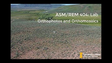 REM 475 Lab: Orthophotos and Orthomosaics