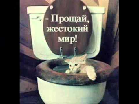 Гимн автоваза прикол