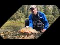 Fly fishing native west-slope cutthroats