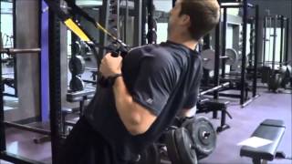 TRX Rows (Pronated, Hammer, Supinated)