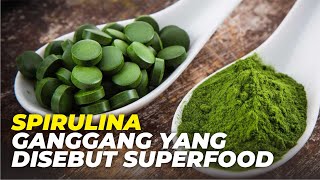 Budidaya Alga Spirulina. Kultur, Perbanyakan, Manfaat, dan Pemasaran Ganggang Superfood