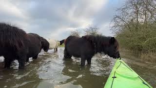 Kanotocht Hoogwater Duursche Waarden