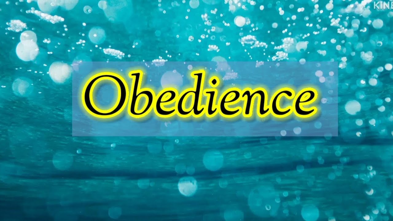 Essay on Obedience in English । English essay writing ।