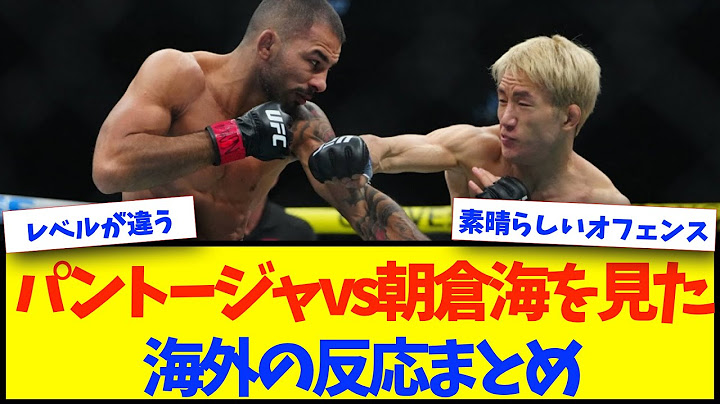 【海外の反応】朝倉海vsパントージャの試合を見た海外の反応集【UFC310】【格闘技反応】【ネットの反応】