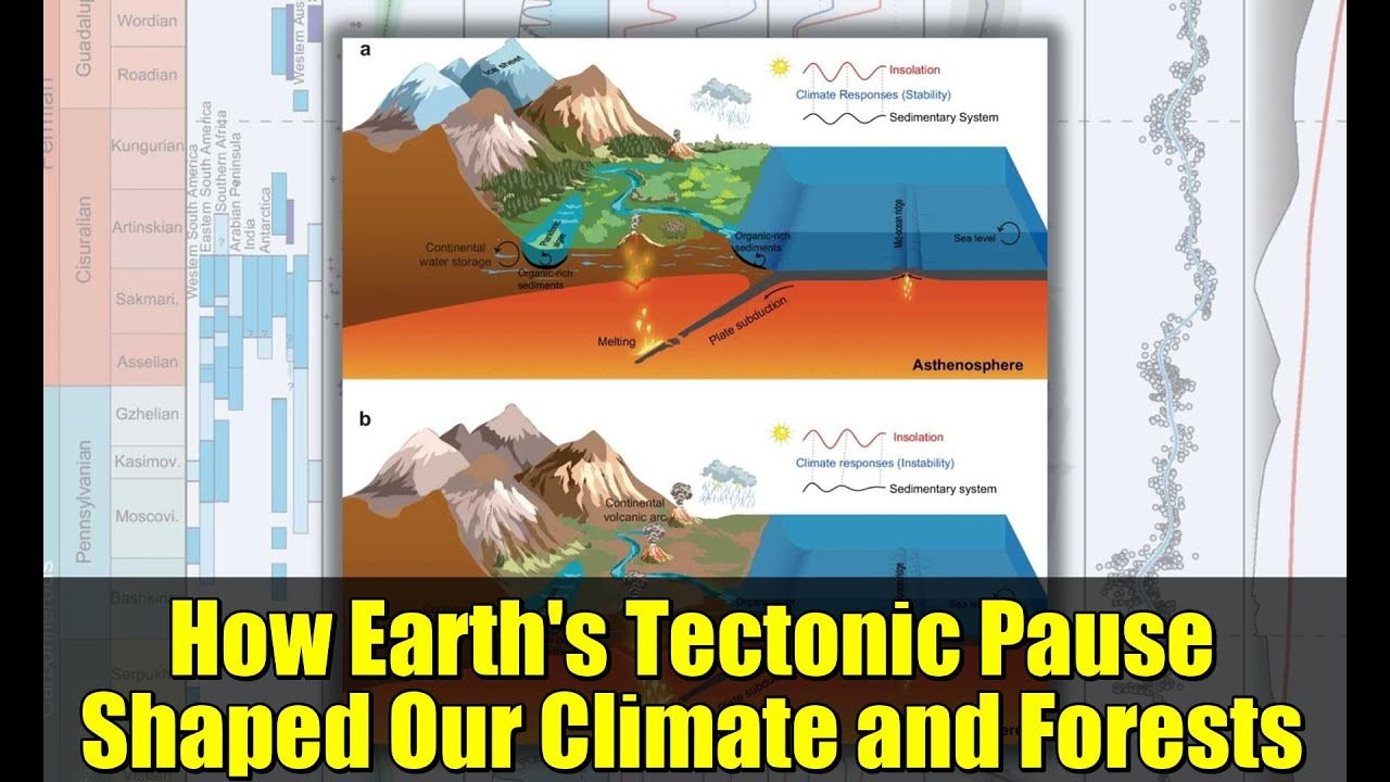 How Earth's Tectonic Pause Shaped Our Climate and Forests