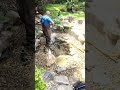 Another Backyard Pond Power Wash Cleaning | #shorts