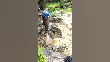 Another Backyard Pond Power Wash Cleaning | #shorts