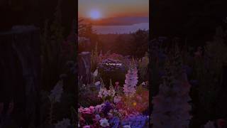 Download Lagu Saveron Ka Mere🌱💞🌿#instagram #remix #trending #love #youtubeshorts #lyrics MP3 Download Lagu Saveron Ka Mere🌱💞🌿#instagram #remix #trending #love #youtubeshorts #lyrics MP3