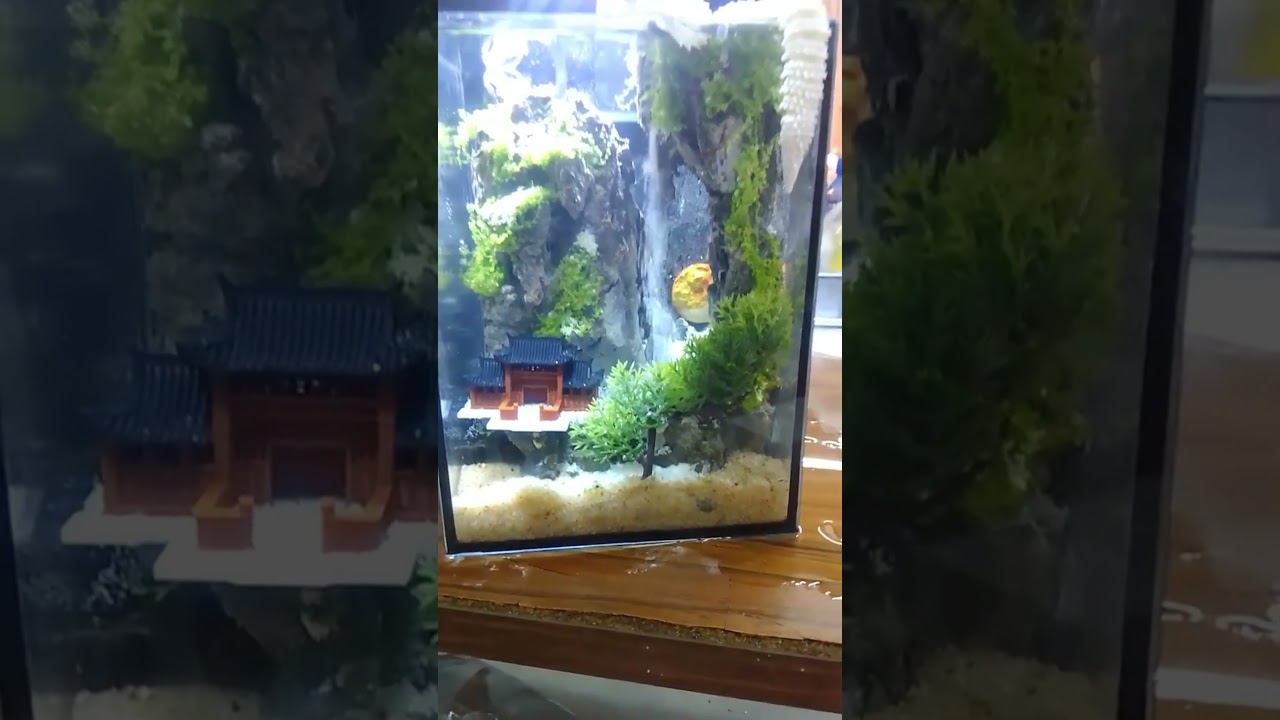 Sandfall in the Fish Tank 🌊🐟 — Mesmerizing Underwater Magic ✨