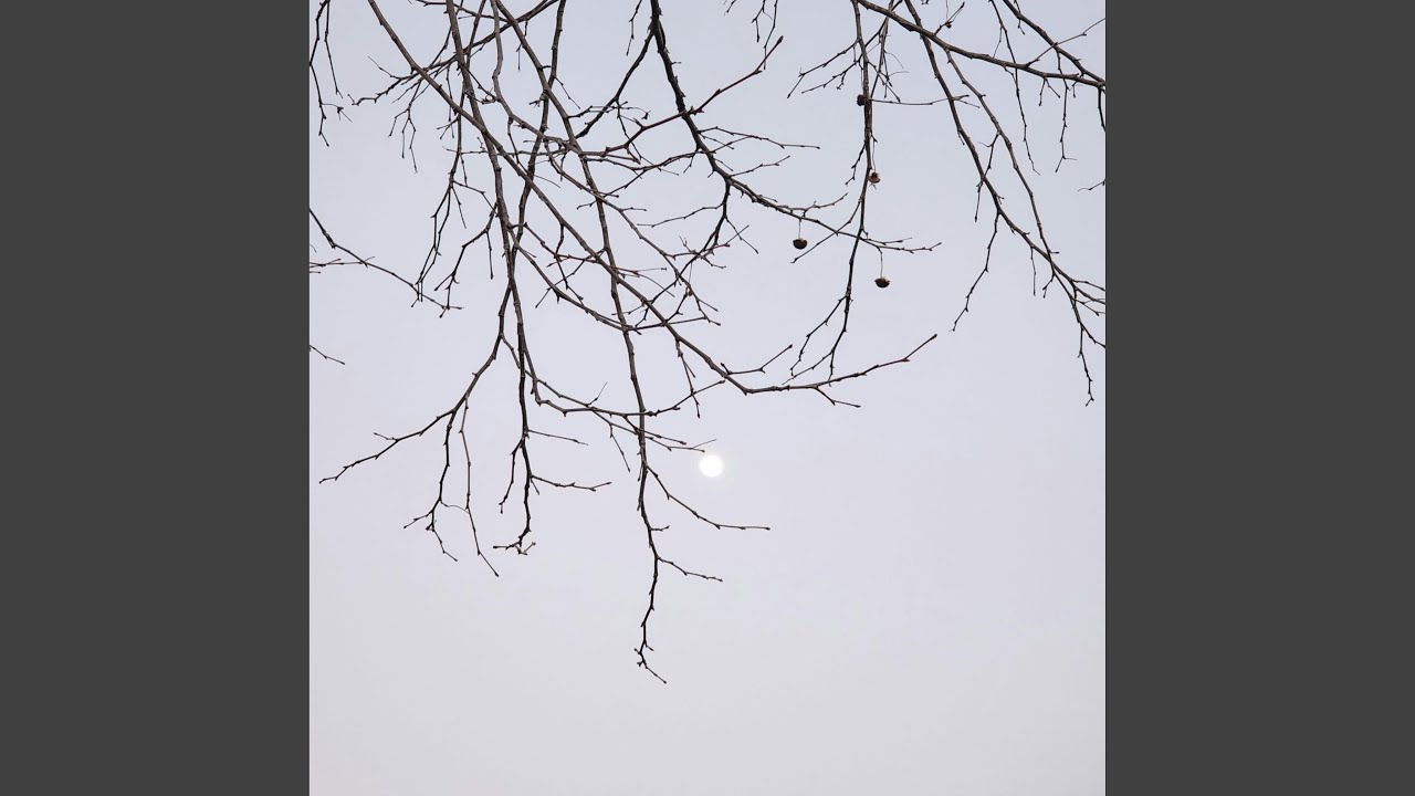 Watch White Moonlight on YouTube Watch White Moonlight on YouTube