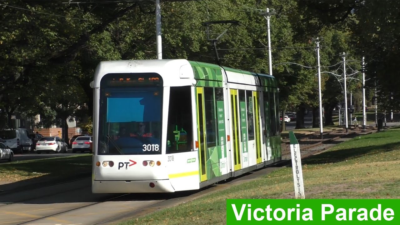 Trams on Victoria Parade - Melbourne Transport