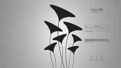 KaOS 2020.07 Run Through