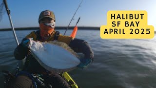 Halibut Fishing in April 2025 | San Francisco