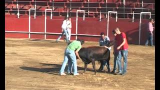 A ASSOCIAÇÃO EQUESTRE DE VIANA DO ALENTEJO