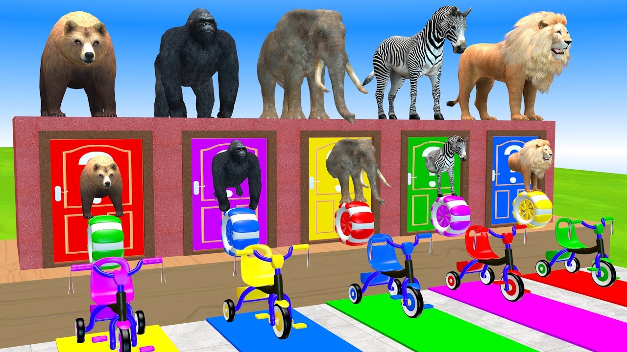 Long Slide Game With Elephant Gorilla Bear Zebra Lion 3d Animal Game Funny 3d Animals