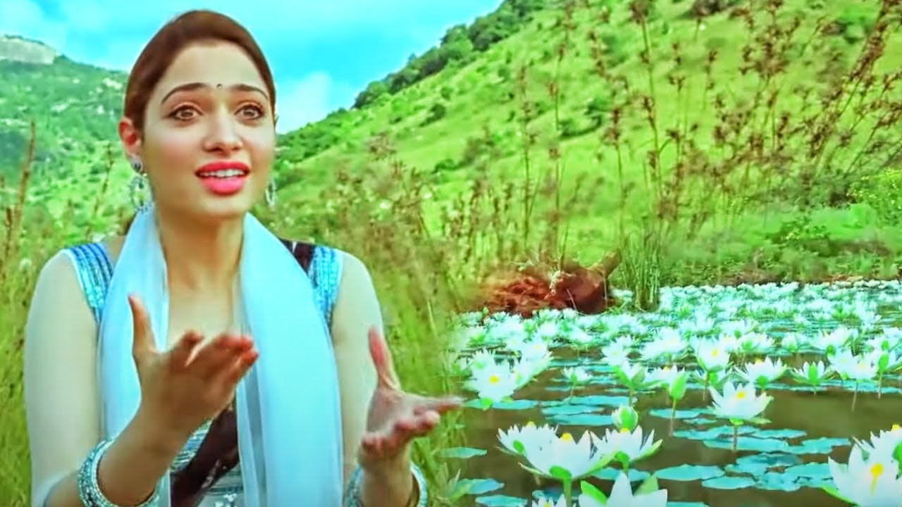 सफ़ेद कमल के फूल देखते ही उसे लाने के लिए तमन्ना राम चरण को कहती है